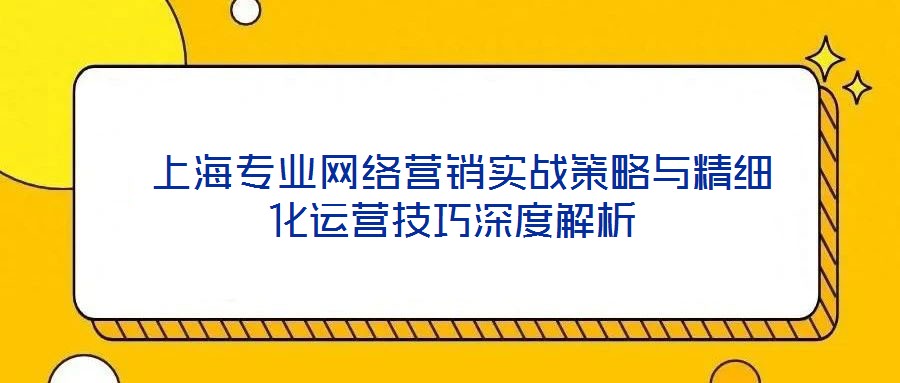 上海專業網絡營銷實戰策略與精細化運營技巧深度解析